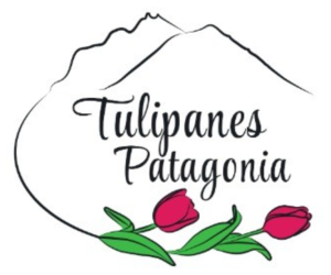Tulipanes Patagonia